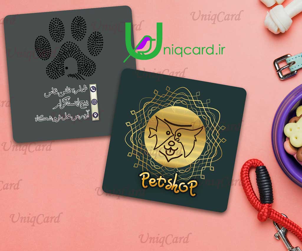 پت_شاپ-دامپزشک-پت-حیوون-حیوون_خونگی-دام-حیوان-سگ-گربه-داروخانه-مطب-کلینیک-کارت_ویزیت-یونیک_کارت-PSD-Business_card