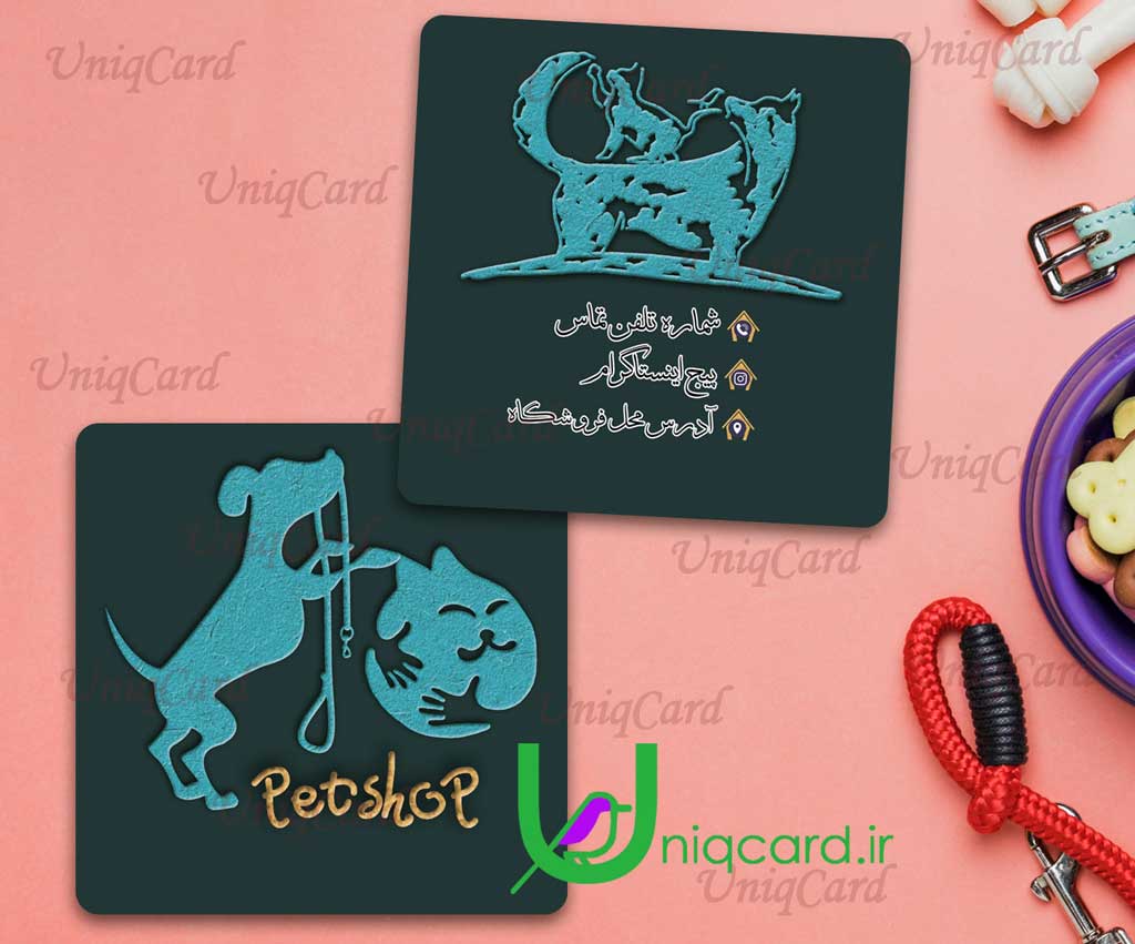 پت_شاپ-دامپزشک-پت-حیوون-حیوون_خونگی-دام-حیوان-سگ-گربه-داروخانه-مطب-کلینیک-کارت_ویزیت-یونیک_کارت-PSD-Business_card